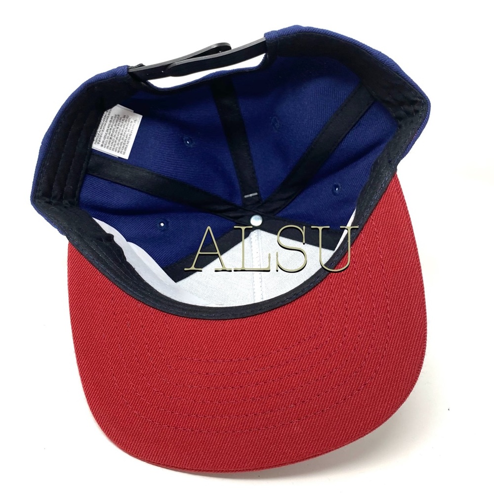 VANS 🔥SALE!🔥 Leaping Lizard Wolf Blue Men’s SnapBack Cap VN0A3IHFLKZ - Picture 4 of 9